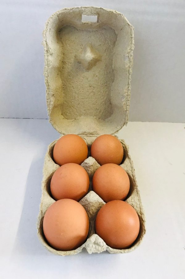 Box of Eggs v1 - Beacon Veg Boxes