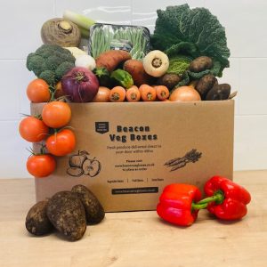 Veg or Salad Boxes